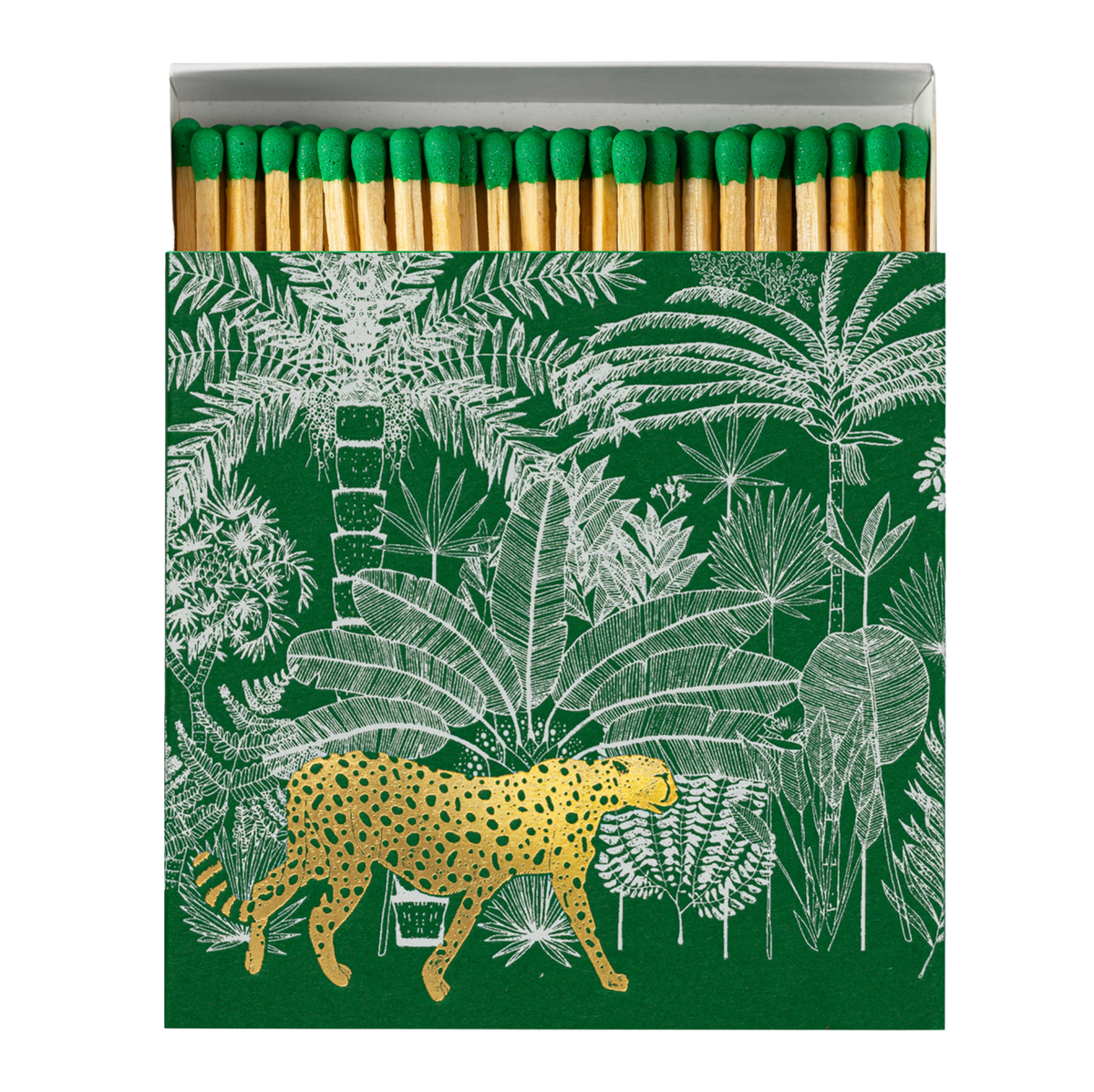 Jungle leopard