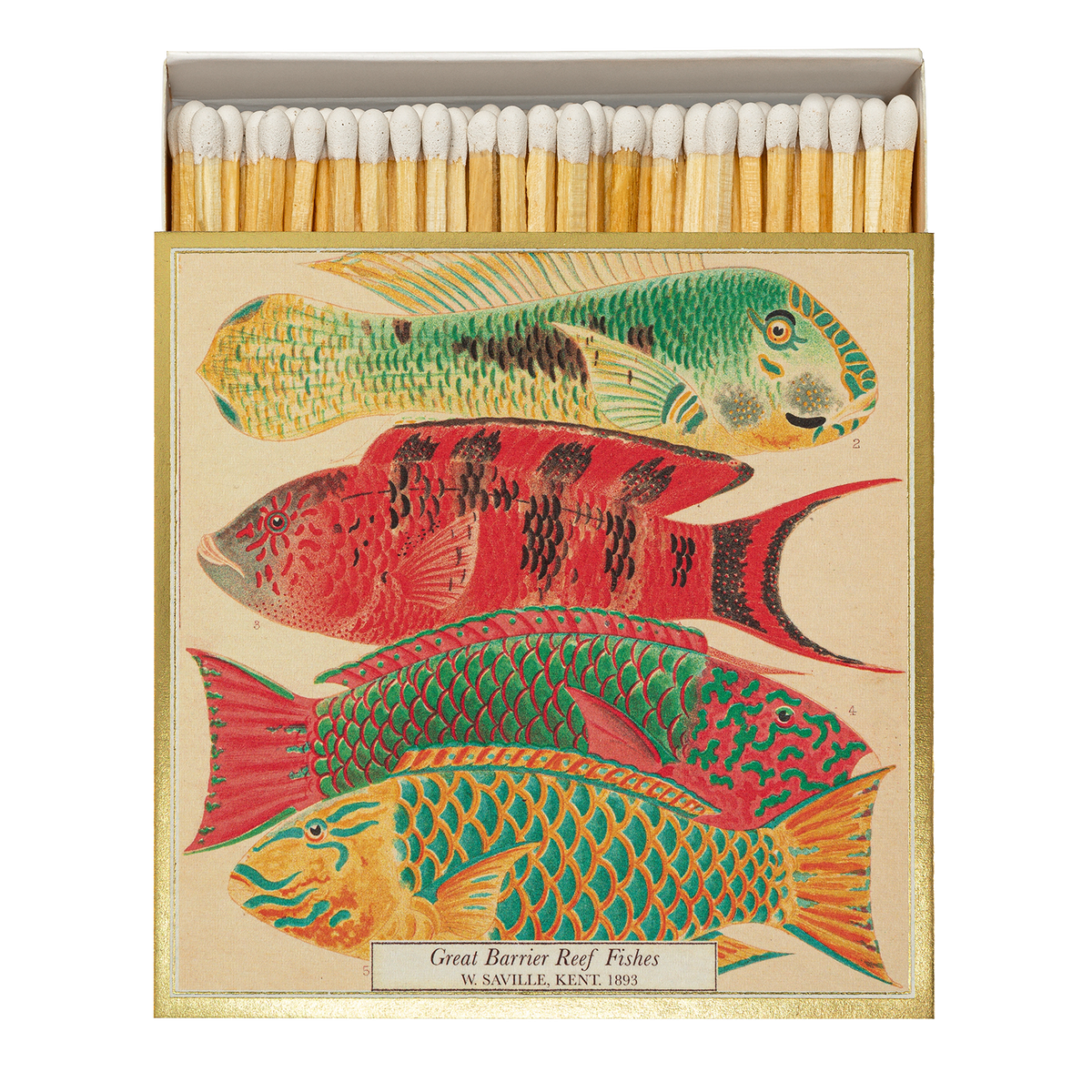 Fishes