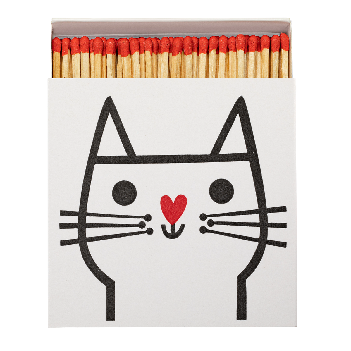 Cat jane foster